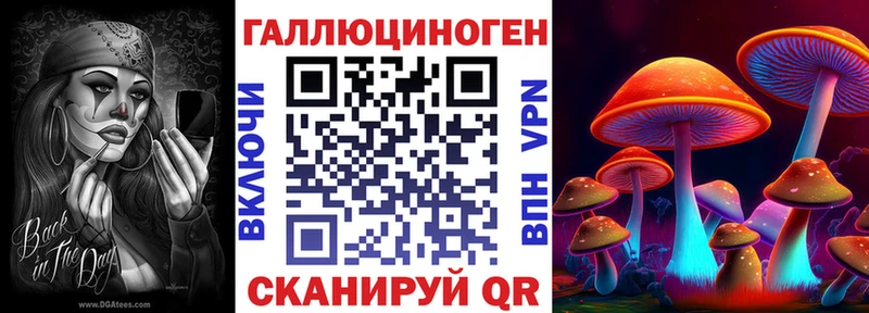 Купить где  Лихославль  Псилоцибиновые грибы Psilocybe 